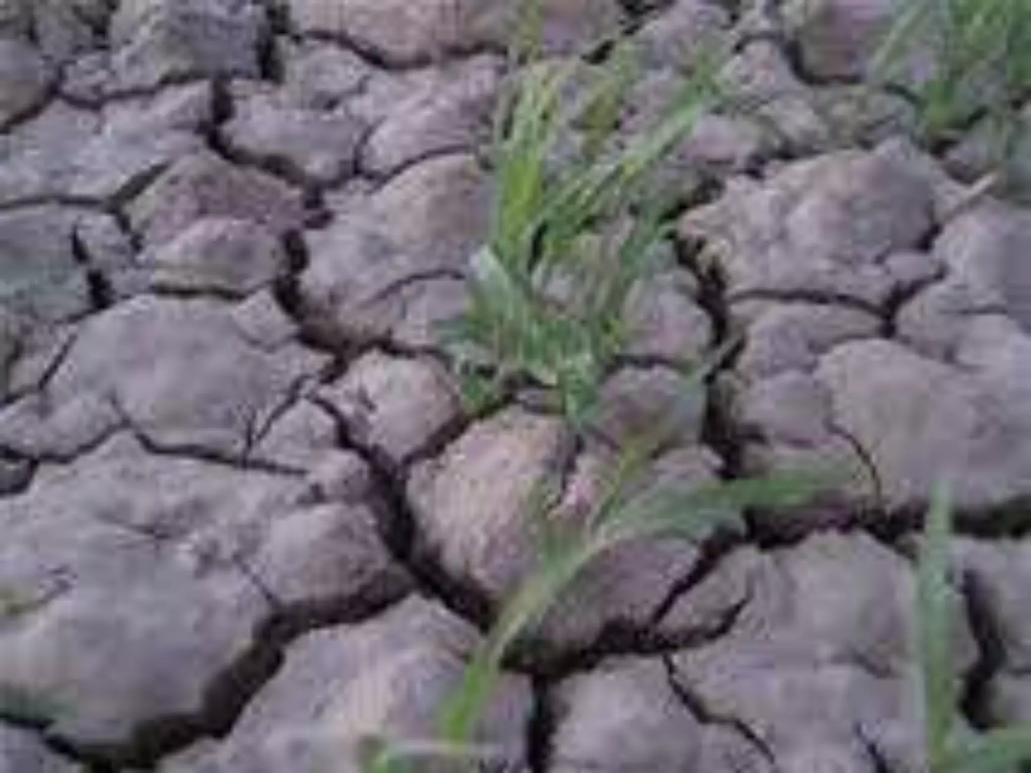 Reclamation Of Salt Affected Soils Pptx