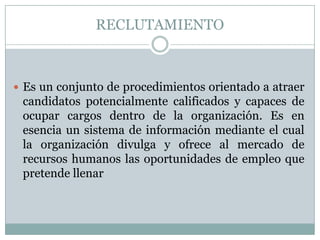 Reclutamiento Del Personal