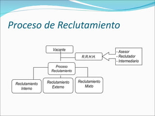 Proceso de Reclutamiento 
