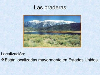 Las praderas
Localización:
Están localizadas mayormente en Estados Unidos.
 