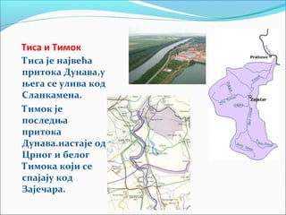Тиса и Тимок
Тиса је највећа
притока Дунава,у
њега се улива код
Сланкамена.
Тимок је
последња
притока
Дунава.настаје од
Црног и белог
Тимока који се
спајају код
Зајечара.
 