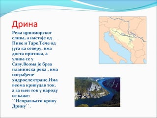 Дрина
Река црноморског
слива, а настаје од
Пиве и Таре.Тече од
југа ка северу, има
доста притока, а
улива се у
Саву.Веома је брза
планинска река , има
изграђене
хидроелектране.Има
веома кривудав ток,
а за њен ток у народу
се каже:
``Исправљати криву
Дрину``.
 