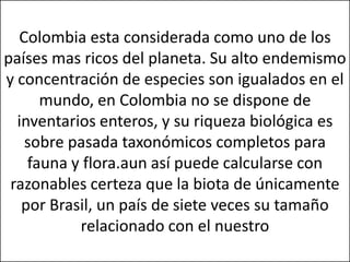 Colombia esta considerada como uno de los
países mas ricos del planeta. Su alto endemismo
y concentración de especies son igualados en el
      mundo, en Colombia no se dispone de
  inventarios enteros, y su riqueza biológica es
   sobre pasada taxonómicos completos para
    fauna y flora.aun así puede calcularse con
 razonables certeza que la biota de únicamente
   por Brasil, un país de siete veces su tamaño
           relacionado con el nuestro
 