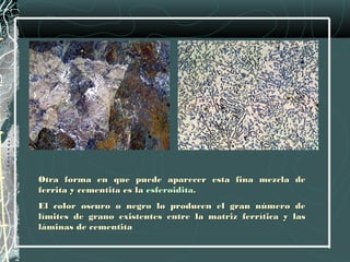 Otra forma en que puede aparecer esta fina mezcla de
ferrita y cementita es la esferoidita.
El color oscuro o negro lo producen el gran número de
límites de grano existentes entre la matriz ferrítica y las
láminas de cementita
 