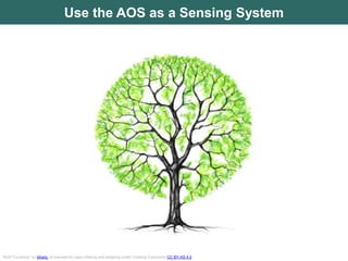 Use the AOS to Learn by Doing
Pilot Expand
“AOS Functions” by lsharp is licensed for open sharing and adapting under Creat...