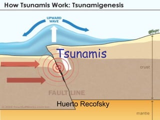 Tsunamis Huerto Recofsky 