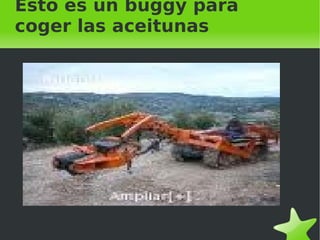 Esto es un buggy para coger las aceitunas 