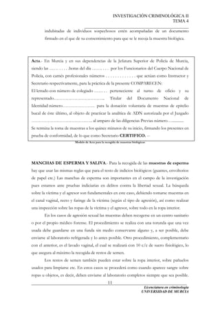INVESTIGACIÓN CRIMINOLÓGICA II
TEMA 4
_______________________________________________
______________________________________________________________________
Licenciatura en criminología
11
indubitadas de individuos sospechosos estén acompañadas de un documento
firmado en el que de su consentimiento para que se le recoja la muestra biológica.
Acta.- En Murcia y en sus dependencias de la Jefatura Superior de Policía de Murcia,
siendo las …… . . . . .horas del día ……. . . . por los Funcionarios del Cuerpo Nacional de
Policía, con carnés profesionales números . . . . . . . . . . . . . que actúan como Instructor y
Secretario respectivamente, para la práctica de la presente COMPARECEN:
El letrado con número de colegiado …… . . perteneciente al turno de oficio y su
representado…………………………….. Titular del Documento Nacional de
Identidad número…………………. para la donación voluntaria de muestras de epitelio
bucal de éste último, al objeto de practicar la analítica de ADN autorizada por el Juzgado
……………………………….….. al amparo de las diligencias Previas número…............
Se termina la toma de muestras a los quince minutos de su inicio, firmando los presentes en
prueba de conformidad, de lo que como Secretario CERTIFICO. --
Modelo de Acta para la recogida de muestras biológicas
MANCHAS DE ESPERMA Y SALIVA.- Para la recogida de las muestras de esperma
hay que usar las mismas reglas que para el resto de indicios biológicos (guantes, envoltorios
de papel etc.) Las manchas de esperma son importantes en el campo de la investigación
pues estamos ante pruebas indiciarias en delitos contra la libertad sexual. La búsqueda
sobre la víctima y el agresor son fundamentales en este caso, debiendo tomarse muestras en
el canal vaginal, recto y faringe de la víctima (según el tipo de agresión), así como realizar
una inspección sobre las ropas de la víctima y el agresor, sobre todo en la ropa interior.
En los casos de agresión sexual las muestras deben recogerse en un centro sanitario
o por el propio médico forense. El procedimiento se realiza con una torunda que una vez
usada debe guardarse en una funda sin medio conservante alguno y, a ser posible, debe
enviarse al laboratorio refrigerada y lo antes posible. Otro procedimiento, complementario
con el anterior, es el lavado vaginal, el cual se realizará con 10 c/c de suero fisiológico, lo
que asegura al máximo la recogida de restos de semen.
Los restos de semen también pueden estar sobre la ropa interior, sobre pañuelos
usados para limpiarse etc. En estos casos se procederá como cuando aparece sangre sobre
ropas u objetos, es decir, deben enviarse al laboratorio completos siempre que sea posible.
UNIVERSIDAD DE MURCIA
 