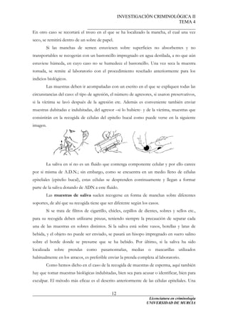 INVESTIGACIÓN CRIMINOLÓGICA II
TEMA 4
_______________________________________________
______________________________________________________________________
Licenciatura en criminología
12
En otro caso se recortará el trozo en el que se ha localizado la mancha, el cual una vez
seco, se remitirá dentro de un sobre de papel.
Si las manchas de semen estuviesen sobre superficies no absorbentes y no
transportables se recogerán con un bastoncillo impregnado en agua destilada, a no que aún
estuviese húmeda, en cuyo caso no se humedece el bastoncillo. Una vez seca la muestra
tomada, se remite al laboratorio con el procedimiento reseñado anteriormente para los
indicios biológicos.
Las muestras deben ir acompañadas con un escrito en el que se expliquen todas las
circunstancias del caso: el tipo de agresión, el número de agresores, si usaron preservativos,
si la víctima se lavó después de la agresión etc. Además es conveniente también enviar
muestras dubitadas e indubitadas, del agresor –si lo hubiere- y de la víctima, muestras que
consistirán en la recogida de células del epitelio bucal como puede verse en la siguiente
imagen.
La saliva en sí no es un fluido que contenga componente celular y por ello carece
por si misma de A.D.N.; sin embargo, como se encuentra en un medio lleno de células
epiteliales (epitelio bucal), estas células se desprenden continuamente y llegan a formar
parte de la saliva dotando de ADN a este fluido.
Las muestras de saliva suelen recogerse en forma de manchas sobre diferentes
soportes, de ahí que su recogida tiene que ser diferente según los casos.
Si se trata de filtros de cigarrillo, chicles, cepillos de dientes, sobres y sellos etc.,
para su recogida deben utilizarse pinzas, teniendo siempre la precaución de separar cada
una de las muestras en sobres distintos. Si la saliva está sobre vasos, botellas y latas de
bebida, y el objeto no puede ser enviado, se pasará un hisopo impregnado en suero salino
sobre el borde donde se presume que se ha bebido. Por último, si la saliva ha sido
localizada sobre prendas como pasamontañas, medias o mascarillas utilizados
habitualmente en los atracos, es preferible enviar la prenda completa al laboratorio.
Como hemos dicho en el caso de la recogida de muestras de esperma, aquí también
hay que tomar muestras biológicas indubitadas, bien sea para acusar o identificar, bien para
exculpar. El método más eficaz es el descrito anteriormente de las células epiteliales. Una
UNIVERSIDAD DE MURCIA
 