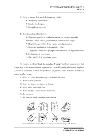 INVESTIGACIÓN CRIMINOLÓGICA II
TEMA 4
_______________________________________________
______________________________________________________________________
Licenciatura en criminología
3
1º.- Aspecto técnico derivado de la Inspección Ocular:
A.- Búsqueda y localización.-
B.- Estudio morfológico.-
C.- Recogida y transporte.-
2º.- Estudio analítico identificativo:
A.- Diagnóstico genérico: pruebas de orientación, que dan resultados
probables y las de certeza, que confirman la existencia de sangre.
B.- Diagnóstico específico: A qué especie animal pertenecen.
C.- Diagnóstico individual: analítica clásica y ADN.
D.- Diagnostico del sexo de quien proviene la muestra y la región anatómica
de donde emanó la hemorragia.
E.- Data o fecha de la mancha de sangre.
En cuanto a la búsqueda de las manchas de sangre puede ser una cosa muy fácil
porque sean perfectamente visibles, o puede tener cierta dificultad por haber sido limpiadas
o porque se encuentren en sitios insospechados. En general y como norma las manchas de
sangre se deben buscar:
1º.- Sobre la víctima, lo que corresponde al médico forense.
2º.- Sobre su ropa y enseres.
3º.- Sobre los objetos próximos a la víctima.
4º.- Sobre suelo, paredes y techo.
5º.- Sobre muebles y otros enseres domésticos.
6º.- En los aseos.
7º.- En las ropas y objetos del presunto agresor.
Lugares más habituales donde se debe buscar sangre en la investigación (imagen de C. Simonín)
UNIVERSIDAD DE MURCIA
 
