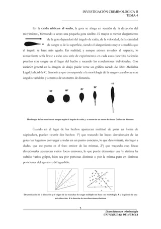 INVESTIGACIÓN CRIMINOLÓGICA II
TEMA 4
_______________________________________________
______________________________________________________________________
Licenciatura en criminología
5
En la caída oblicua al suelo, la gota se alarga en sentido de la dirección del
movimiento, formando a veces una pequeña gota satélite. El mayor o menor alargamiento
de la gota dependerá del ángulo de caída, de la velocidad, de la cantidad
de sangre o de la superficie, siendo el alargamiento mayor a medida que
el ángulo se hace más agudo. En realidad, y aunque existen estudios al respecto, lo
conveniente sería llevar a cabo una serie de experimentos en cada caso concreto haciendo
pruebas con sangre en el lugar del hecho y sacando las conclusiones individuales. Con
carácter general en la imagen de abajo puede verse un gráfico sacado del libro Medicina
Legal Judicial de C. Simonín y que corresponde a la morfología de la sangre cuando cae con
ángulos variables y a menos de un metro de distancia.
Morfología de las manchas de sangre según el ángulo de caída, y a menos de un metro de altura. Gráfico de Simonín.
Cuando en el lugar de los hechos aparezcan multitud de gotas en forma de
salpicadura, pueden ocurrir dos hechos: 1º) que trazando las líneas direccionales de las
gotas las hagamos converger a todas en un punto concreto, lo que determinará, sin lugar a
dudas, que ese punto es el foco emisor de las mismas. 2º) que trazando esas líneas
direccionales aparezcan varios focos emisores, lo que puede demostrar que la víctima ha
sufrido varios golpes, bien sea por personas distintas o por la misma pero en distintas
posiciones del agresor y del agredido.
Determinación de la dirección y el origen de las manchas de sangre múltiples en base a su morfología. A la izquierda de una
sola dirección. A la derecha de tres direcciones distintas
UNIVERSIDAD DE MURCIA
 