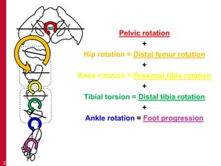 Distal Traction Rotation Recognising features (bone and joint deformity) | PPTX