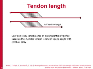 Tendon length
11
Barber, L., Barrett, R., & Lichtwark, G. (2012). Medial gastrocnemius muscle fascicle active torque-length and Achilles tendon properties
in young adults with spastic cerebral palsy. J Biomech, 45(15), 2526-2530.
half tendon length
Only one study (and balance of circumstantial evidence)
suggests that Achilles tendon is long in young adults with
cerebral palsy
 