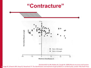 “Contracture”
12
Shortland AP, Fry NR, McNee AE, Gough M. (2009) Muscle structure and function.
In Gage JR, Schwartz MH, Koop SE, Novacheck TF. The identification and treatment of gait problems in cerebral palsy. London: Mac Keith Press
 