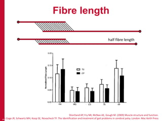 Fibre length
9
half fibre length
Shortland AP, Fry NR, McNee AE, Gough M. (2009) Muscle structure and function.
In Gage JR, Schwartz MH, Koop SE, Novacheck TF. The identification and treatment of gait problems in cerebral palsy. London: Mac Keith Press
 