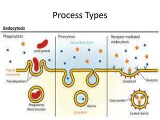 Process Types
 
