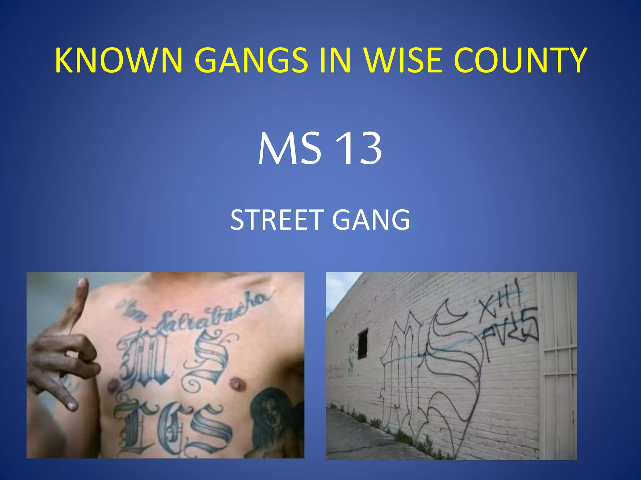 KNOWN GANGS IN WISE COUNTY 
MS 13 
STREET GANG 
 