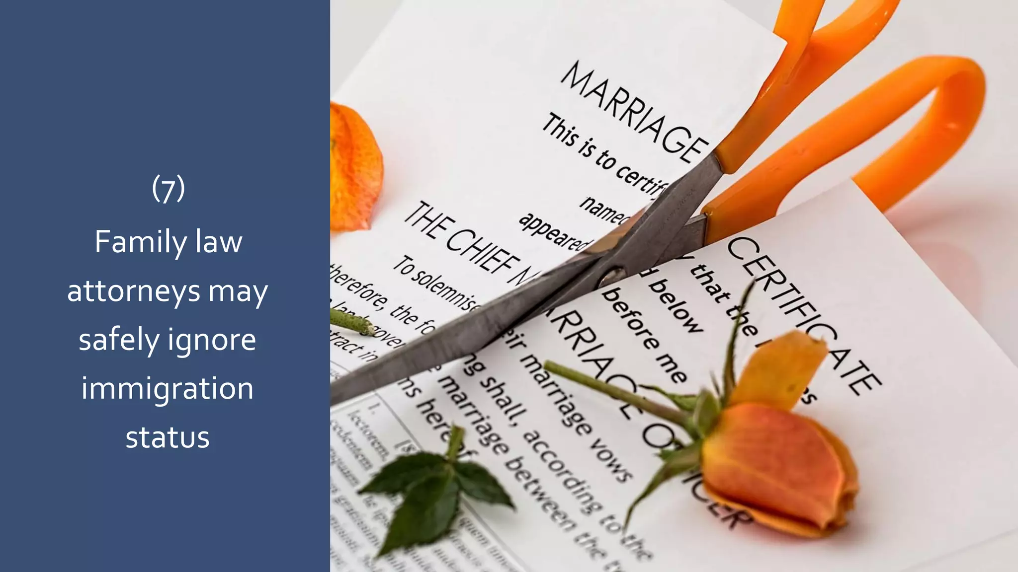(7)
Family law
attorneys may
safely ignore
immigration
status
 