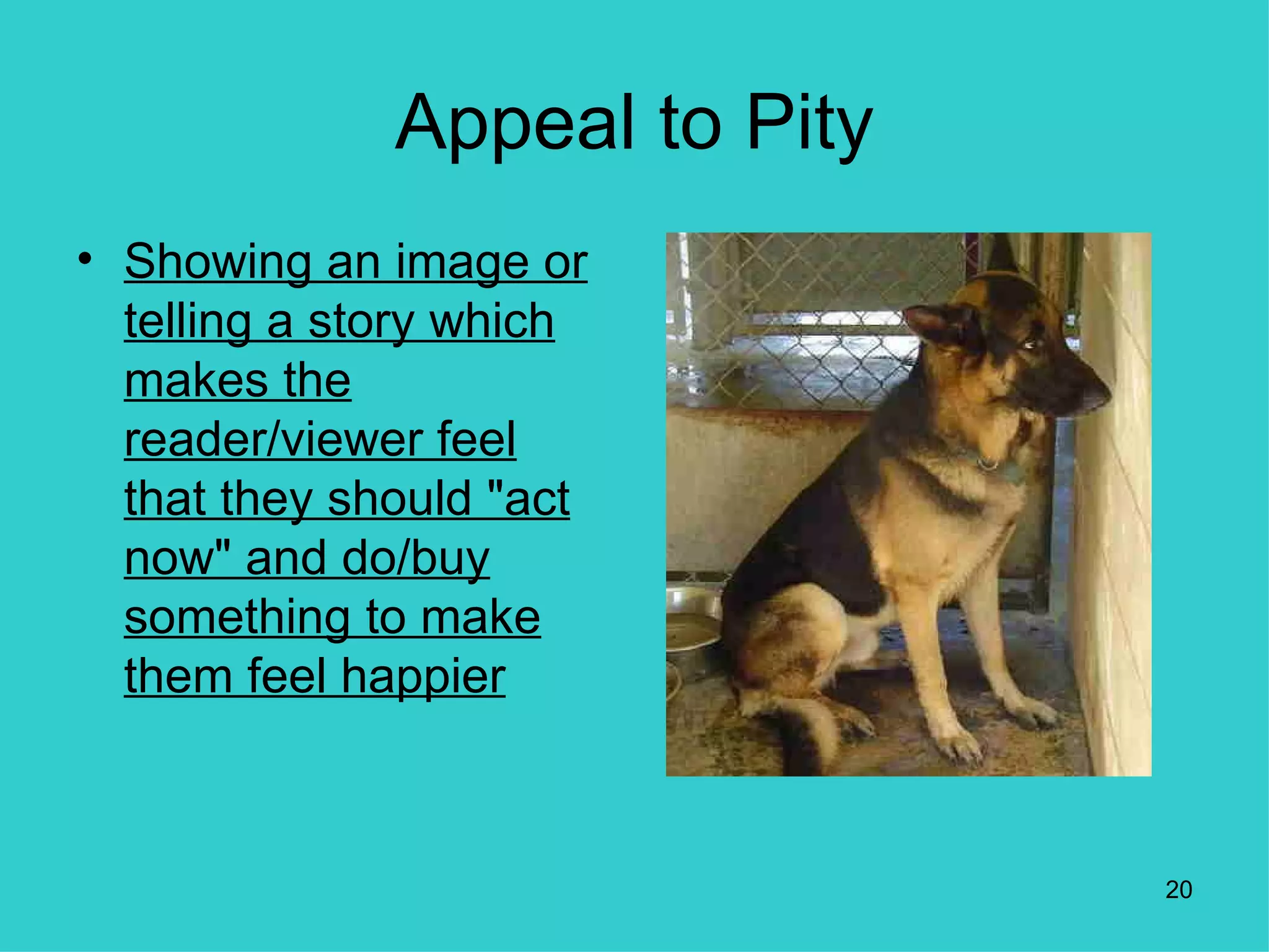 Appeal to Pity
• Showing an image or
  telling a story which
  makes the
  reader/viewer feel
  that they should "act
  now" and do/buy
  something to make
  them feel happier



                               20
 