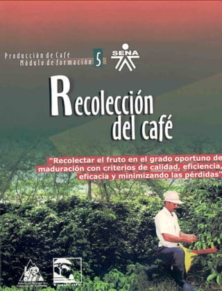 Recolección café.pdf