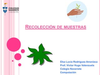 RECOLECCIÓN DE MUESTRAS

Elsa Lucía Rodríguez Amavizca
Prof. Víctor Hugo Valenzuela
Colegio Navarrete
Computación

 