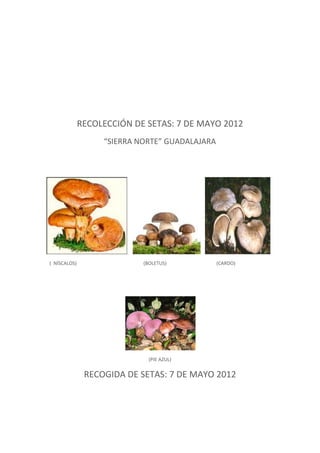 RECOLECCIÓN DE SETAS: 7 DE MAYO 2012
                   “SIERRA NORTE” GUADALAJARA




( NÍSCALOS)                 (BOLETUS)           (CARDO)




                              (PIE AZUL)


               RECOGIDA DE SETAS: 7 DE MAYO 2012
 