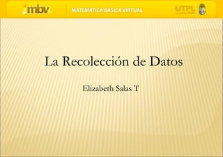 La Recolección de Datos  Elizabeth Salas T 