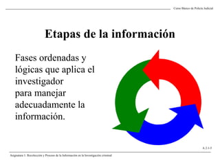 Curso Básico de Policía Judicial
Asignatura 1: Recolección y Proceso de la Información en la Investigación criminal
A 2.1-5
Etapas de la información
Fases ordenadas y
lógicas que aplica el
investigador
para manejar
adecuadamente la
información.
 
