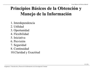 Principios Básicos de la Obtención y
Manejo de la Información
Curso Básico de Policía Judicial
Asignatura 1: Recolección y Proceso de la Información en la Investigación Criminal
A 1.2-6
1. Interdependencia
2. Utilidad
3. Oportunidad
4. Flexibilidad
5. Iniciativa
6. Previsión
7. Seguridad
8. Continuidad
10.Claridad y Exactitud
 