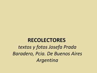 RECOLECTORES  textos y fotos Josefa Prada Baradero, Pcia. De Buenos Aires Argentina 