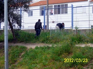 Recolha de lixo2-2012