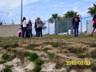 Recolha de lixo2-2012