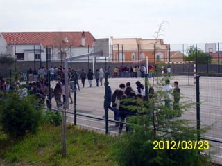 Recolha de lixo2-2012