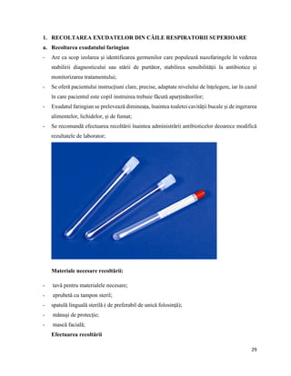 29
1. RECOLTAREA EXUDATELOR DIN CĂILE RESPIRATORII SUPERIOARE
a. Recoltarea exudatului faringian
- Are ca scop izolarea și identificarea germenilor care populează nazofaringele în vederea
stabilirii diagnosticului sau stării de purtător, stabilirea sensibilității la antibiotice și
monitorizarea tratamentului;
- Se oferă pacientului instrucțiuni clare, precise, adaptate nivelului de înțelegere, iar în cazul
în care pacientul este copil instruirea trebuie făcută aparținătorilor;
- Exudatul faringian se prelevează dimineața, înaintea toaletei cavității bucale și de ingerarea
alimentelor, lichidelor, și de fumat;
- Se recomandă efectuarea recoltării înaintea administrării antibioticelor deoarece modifică
rezultatele de laborator;
Materiale necesare recoltării:
- tavă pentru materialele necesare;
- eprubetă cu tampon steril;
- spatulă linguală sterilă ( de preferabil de unică folosință);
- mănuși de protecție;
- mască facială;
Efectuarea recoltării
 