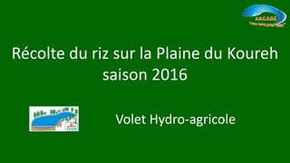 Récolte du riz sur la Plaine du Koureh
saison 2016
Volet Hydro-agricole
 