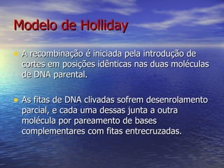 Modelo de Holliday

• A recombinação é iniciada pela introdução de
  cortes em posições idênticas nas duas moléculas
  de DNA parental.

• As fitas de DNA clivadas sofrem desenrolamento
  parcial, e cada uma dessas junta a outra
  molécula por pareamento de bases
  complementares com fitas entrecruzadas.
 