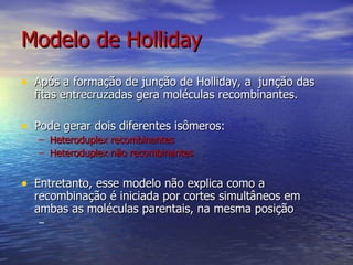 Modelo de Holliday
• Após a formação de junção de Holliday, a junção das
  fitas entrecruzadas gera moléculas recombinantes.

• Pode gerar dois diferentes isômeros:
   – Heteroduplex recombinantes
   – Heteroduplex não recombinantes


• Entretanto, esse modelo não explica como a
  recombinação é iniciada por cortes simultâneos em
  ambas as moléculas parentais, na mesma posição
   –
 