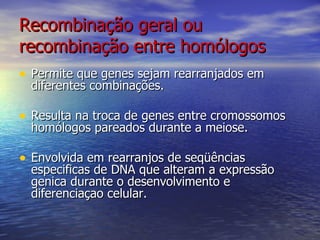 Recombinação geral ou
recombinação entre homólogos
• Permite que genes sejam rearranjados em
  diferentes combinações.

• Resulta na troca de genes entre cromossomos
  homólogos pareados durante a meiose.

• Envolvida em rearranjos de seqüências
  especificas de DNA que alteram a expressão
  genica durante o desenvolvimento e
  diferenciaçao celular.
 