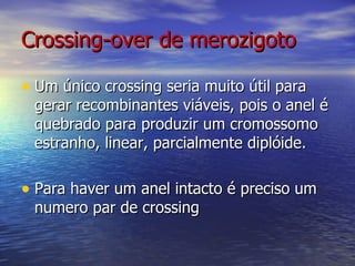 Crossing-over de merozigoto

• Um único crossing seria muito útil para
 gerar recombinantes viáveis, pois o anel é
 quebrado para produzir um cromossomo
 estranho, linear, parcialmente diplóide.

• Para haver um anel intacto é preciso um
 numero par de crossing
 