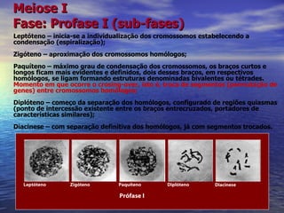 Meiose I
Fase: Profase I (sub-fases)
Leptóteno – inicia-se a individualização dos cromossomos estabelecendo a
condensação (espiralização);
Zigóteno – aproximação dos cromossomos homólogos;
Paquíteno – máximo grau de condensação dos cromossomos, os braços curtos e
longos ficam mais evidentes e definidos, dois desses braços, em respectivos
homólogos, se ligam formando estruturas denominadas bivalentes ou tétrades.
Momento em que ocorre o crosing-over, isto é, troca de segmentos (permutação de
genes) entre cromossomos homólogos;
Diplóteno – começo da separação dos homólogos, configurado de regiões quiasmas
(ponto de intercessão existente entre os braços entrecruzados, portadores de
características similares);
Diacinese – com separação definitiva dos homólogos, já com segmentos trocados.




                                                                                     
   Leptóteno        Zigóteno         Paquíteno        Diplóteno        Diacinese
                                                   
                                     Prófase I
 