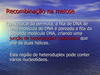 Recombinação na meiose
(3) No local da permuta, a fita de DNA de
  uma molécula de DNA é pareada a fita da
  segunda molécula DNA, criando uma
  junção de heteroduplex (quiasmas) que
  une as duas hélices.

 Esta região de heteroduplex pode conter
 vários nucleotídeos.
 