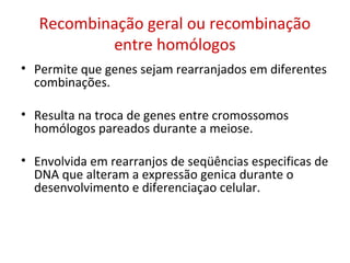 Recombinação geral ou recombinação
entre homólogos
• Permite que genes sejam rearranjados em diferentes
combinações.
• Resulta na troca de genes entre cromossomos
homólogos pareados durante a meiose.
• Envolvida em rearranjos de seqüências especificas de
DNA que alteram a expressão genica durante o
desenvolvimento e diferenciaçao celular.
 