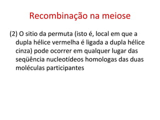 Recombinação na meiose
(2) O sitio da permuta (isto é, local em que a
dupla hélice vermelha é ligada a dupla hélice
cinza) pode ocorrer em qualquer lugar das
seqüência nucleotídeos homologas das duas
moléculas participantes
 