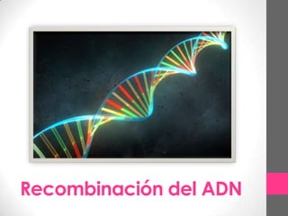 Recombinación del ADN
 