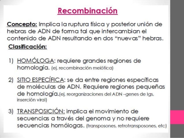 recombinacion genetica ppt Recombinación genética.