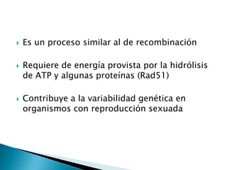 





Es un proceso similar al de recombinación
Requiere de energía provista por la hidrólisis
de ATP y algunas proteínas (Rad51)

Contribuye a la variabilidad genética en
organismos con reproducción sexuada

 