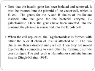  Now that the insulin gene has been isolated and removed, it
must be inserted into the plasmid of the vector cell, which is
E. coli. The genes for the A and B chains of insulin are
inserted into the gene for the bacterial enzyme, B-
galactosidase. Once the genes have been inserted into the
plasmid, the plasmid is reinserted into the E. coli cell.
 When the cell replicates, the B-galactosidase is formed with
either the A or B chain of insulin attached to it. The two
chains are then extracted and purified. Then they are mixed
together thus connecting to each other by forming disulfide
cross bridges. The end result is Humulin, or synthetic human
insulin (Singh-Khaira, 1994).
 