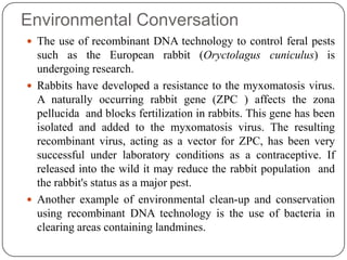 Environmental Conversation
 The use of recombinant DNA technology to control feral pests
such as the European rabbit (Oryctolagus cuniculus) is
undergoing research.
 Rabbits have developed a resistance to the myxomatosis virus.
A naturally occurring rabbit gene (ZPC ) affects the zona
pellucida and blocks fertilization in rabbits. This gene has been
isolated and added to the myxomatosis virus. The resulting
recombinant virus, acting as a vector for ZPC, has been very
successful under laboratory conditions as a contraceptive. If
released into the wild it may reduce the rabbit population and
the rabbit's status as a major pest.
 Another example of environmental clean-up and conservation
using recombinant DNA technology is the use of bacteria in
clearing areas containing landmines.
 