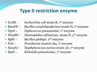 Type II restriction enzyme
 EcoRI – Escherichia coli strain R, 1st enzyme
 BamHI – Bacillus amyloliquefaciens strain H, 1st enzyme
 DpnI – Diplococcus pneumoniae, 1st enzyme
 HindIII – Haemophilus influenzae, strain D, 3rd enzyme
 BglII – Bacillus globigii, 2nd enzyme
 PstI – Providencia stuartii 164, 1st enzyme
 Sau3AI – Staphylococcus aureus strain 3A, 1st enzyme
 KpnI – Klebsiella pneumoniae, 1st enzyme
 