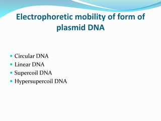 Electrophoretic mobility of form of
plasmid DNA
 Circular DNA
 Linear DNA
 Supercoil DNA
 Hypersupercoil DNA
 